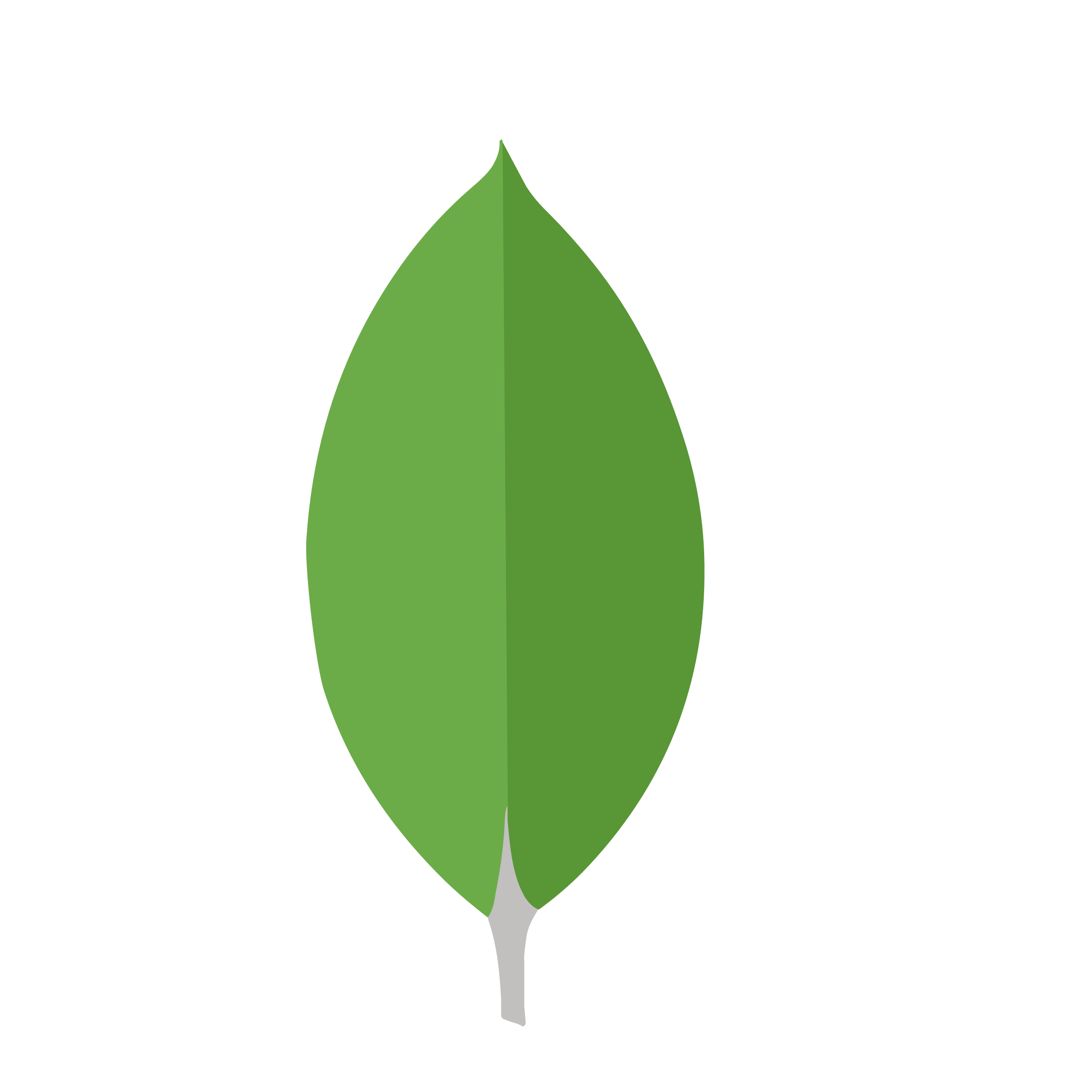 MongoDB Atlas